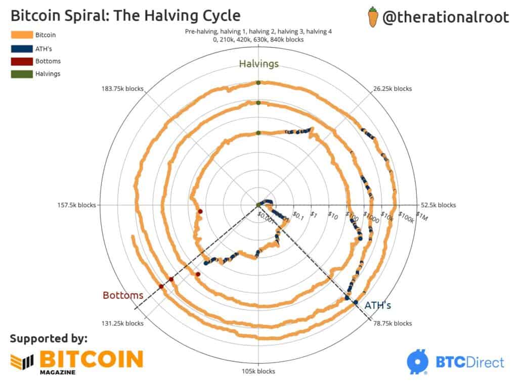 The Bitcoin Halving Cycle (Article 16 of 52)